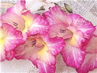 6109f0a3-Picture 004.jpg